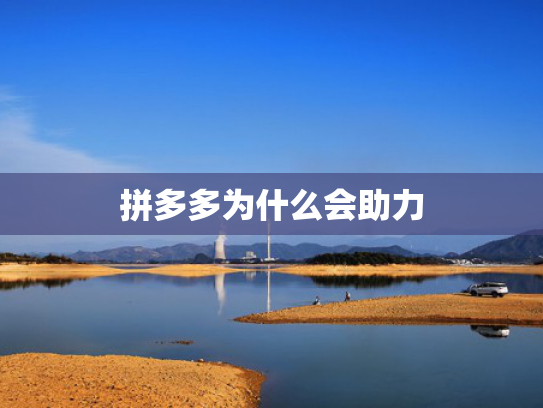 拼多多为什么会助力