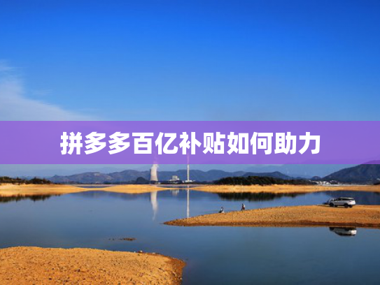 拼多多百亿补贴如何助力