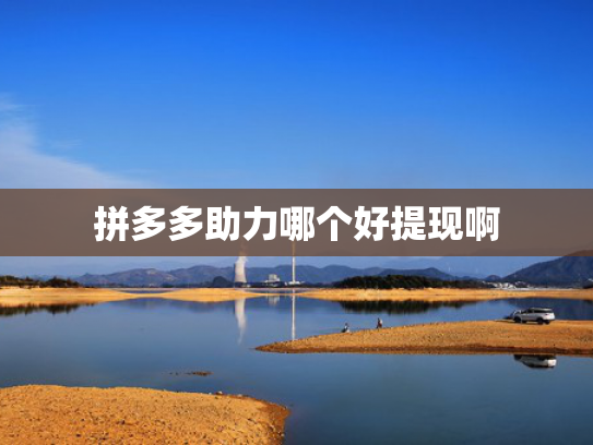 拼多多助力哪个好提现啊