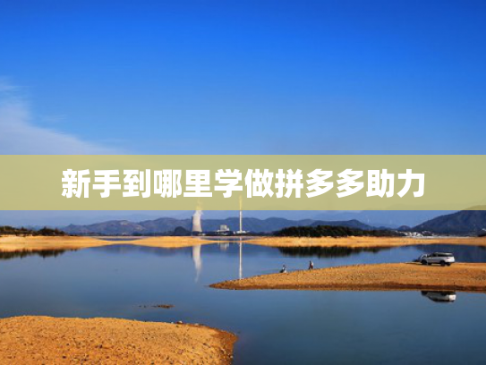 新手到哪里学做拼多多助力