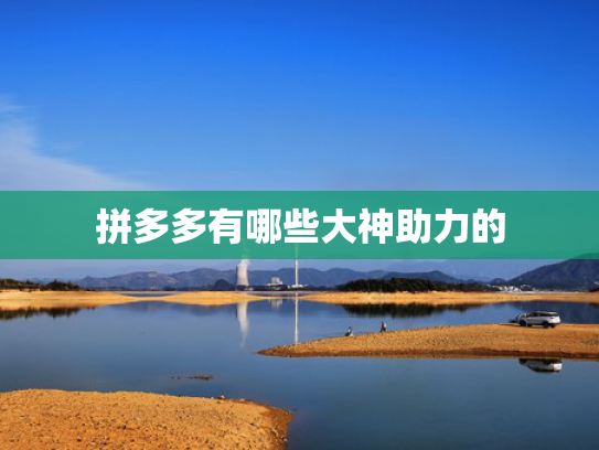 拼多多有哪些大神助力的