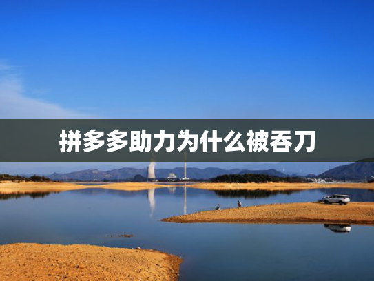 拼多多助力为什么被吞刀