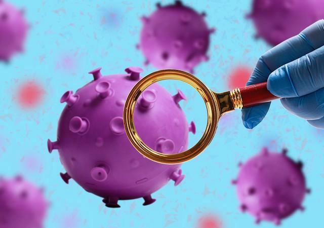 包含新冠病毒去哪儿了?疫情就此消失了?的词条