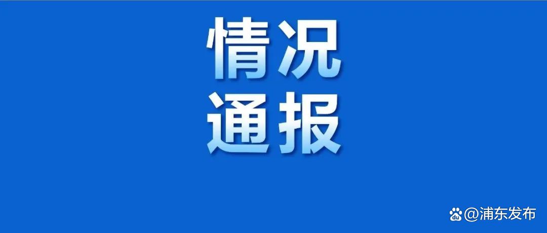 【浦东新区疫情