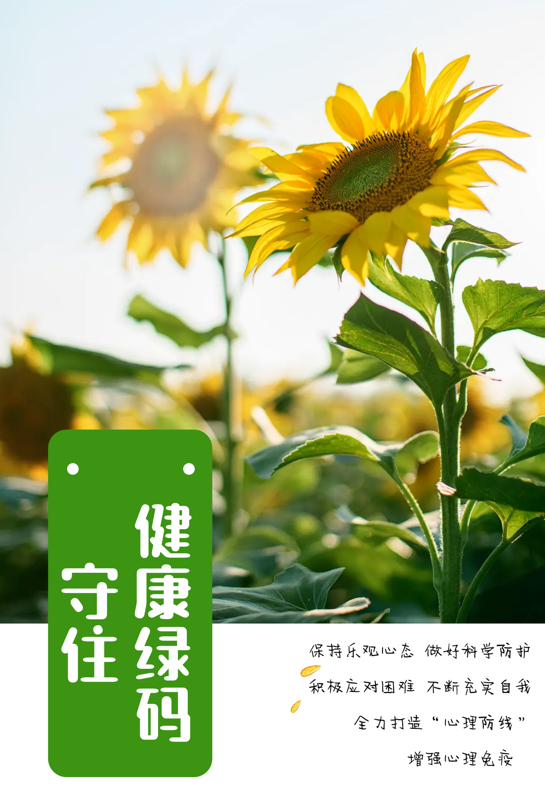 【疫情心理疏导工作方案/疫情心理疏导工作总结】