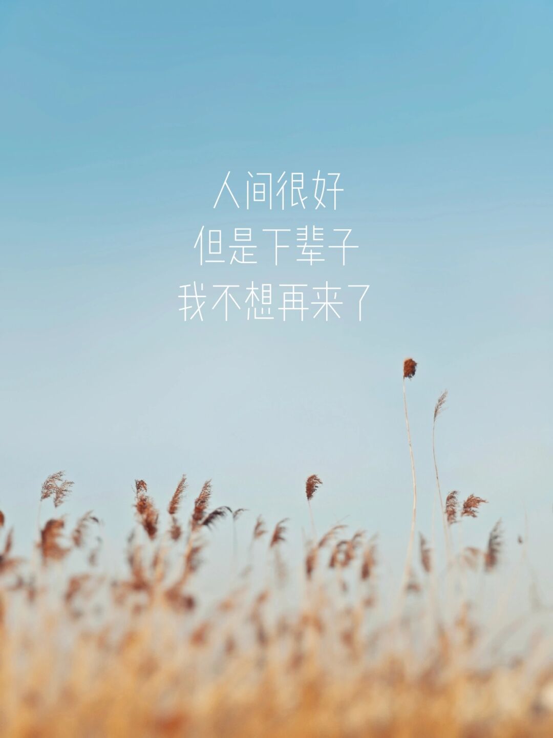 【疫情依旧此起彼伏_疫情依旧在】