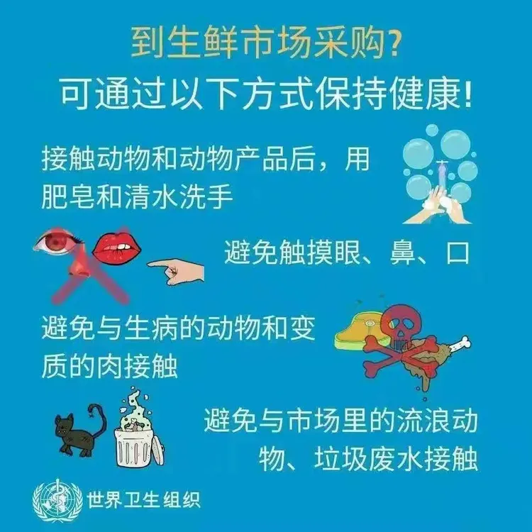 【疫情防控领导小组预案/疫情防控 领导小组】