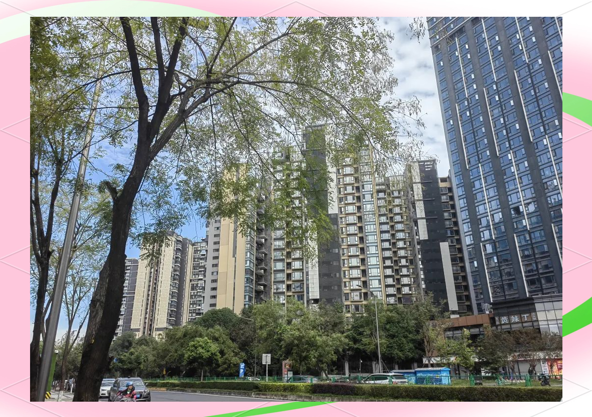 【润富国际花园有疫情吗_润富国际花园是豪宅吗】