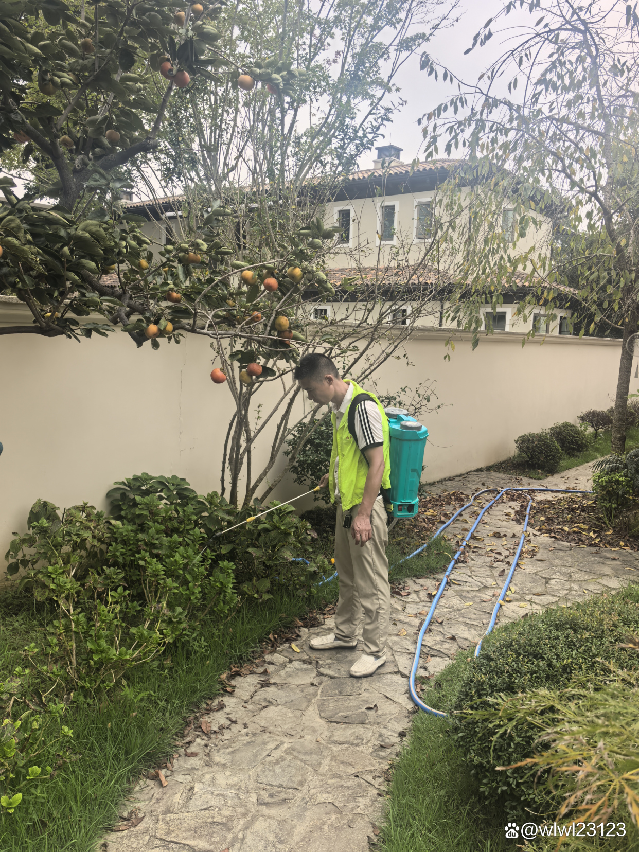 【上虞区最新防疫情况,上虞区疫情防控通告】