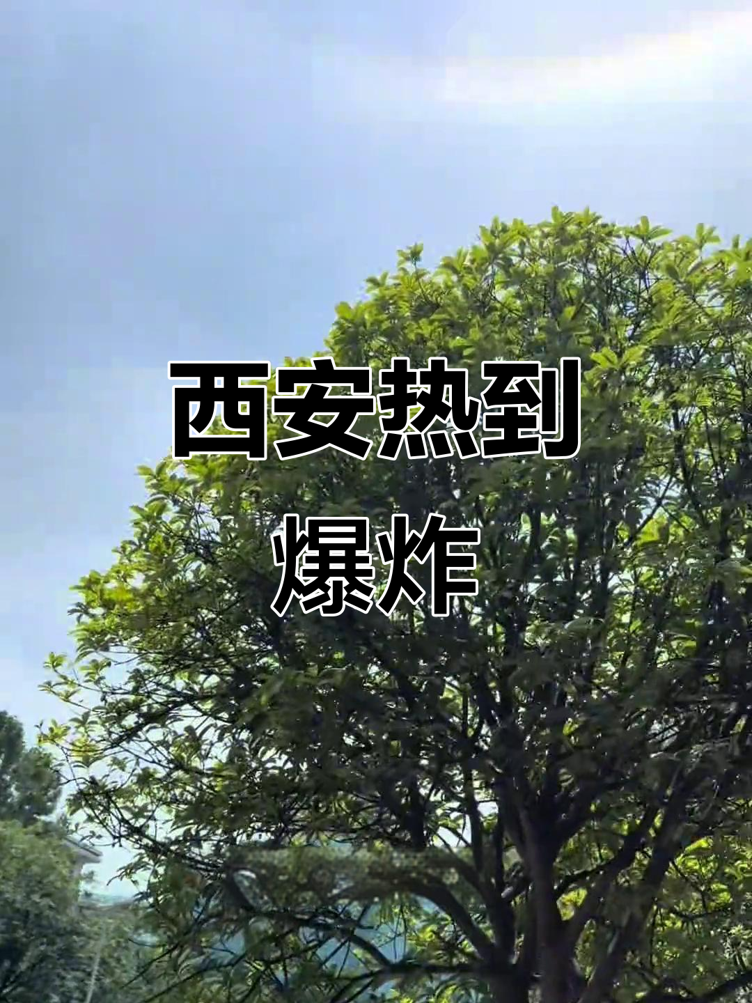 【10月23日陕西疫情