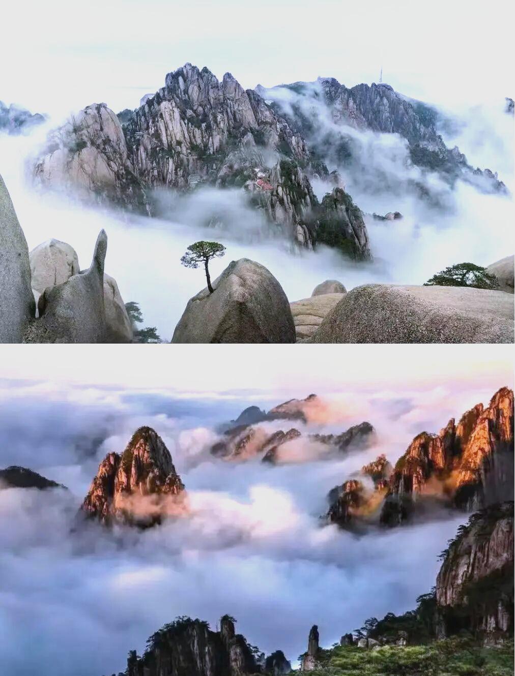 疫情对黄山旅游业的影响】