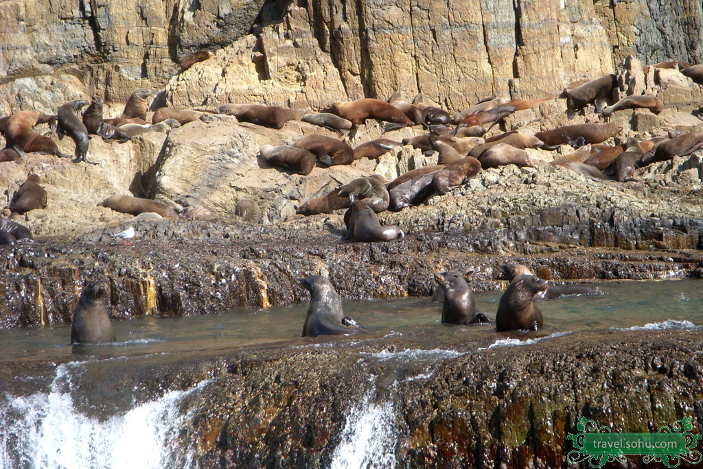 【塔斯马尼亚州今日疫情/塔斯马尼亚天气预报7天】