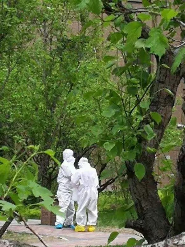 【丰满区疫情 【丰满区疫情