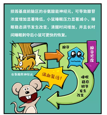 【对疫情的了解_对于疫情的了解】