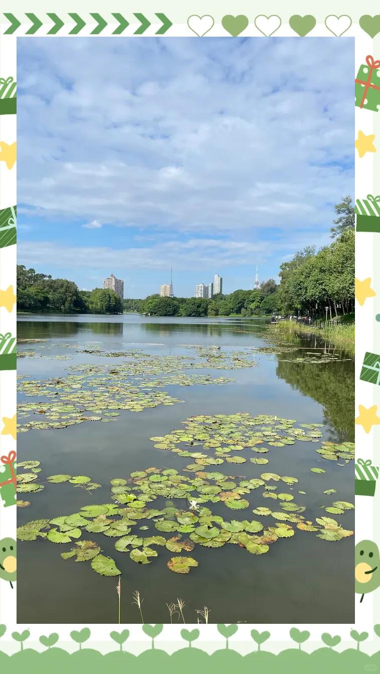 【麓湖公园疫情,麓湖公园疫情最新消息】 【麓湖公园疫情,麓湖公园疫情最新消息】