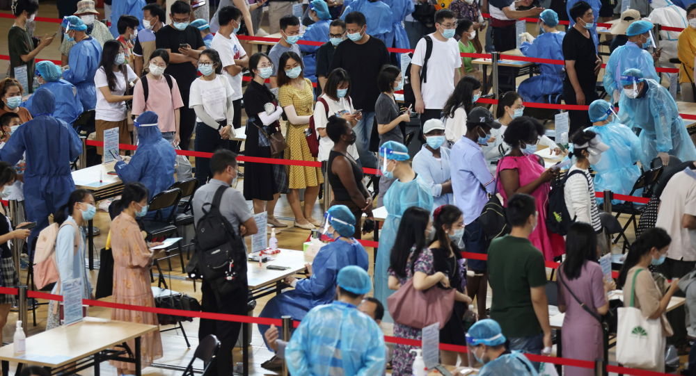 【上海疫情源头