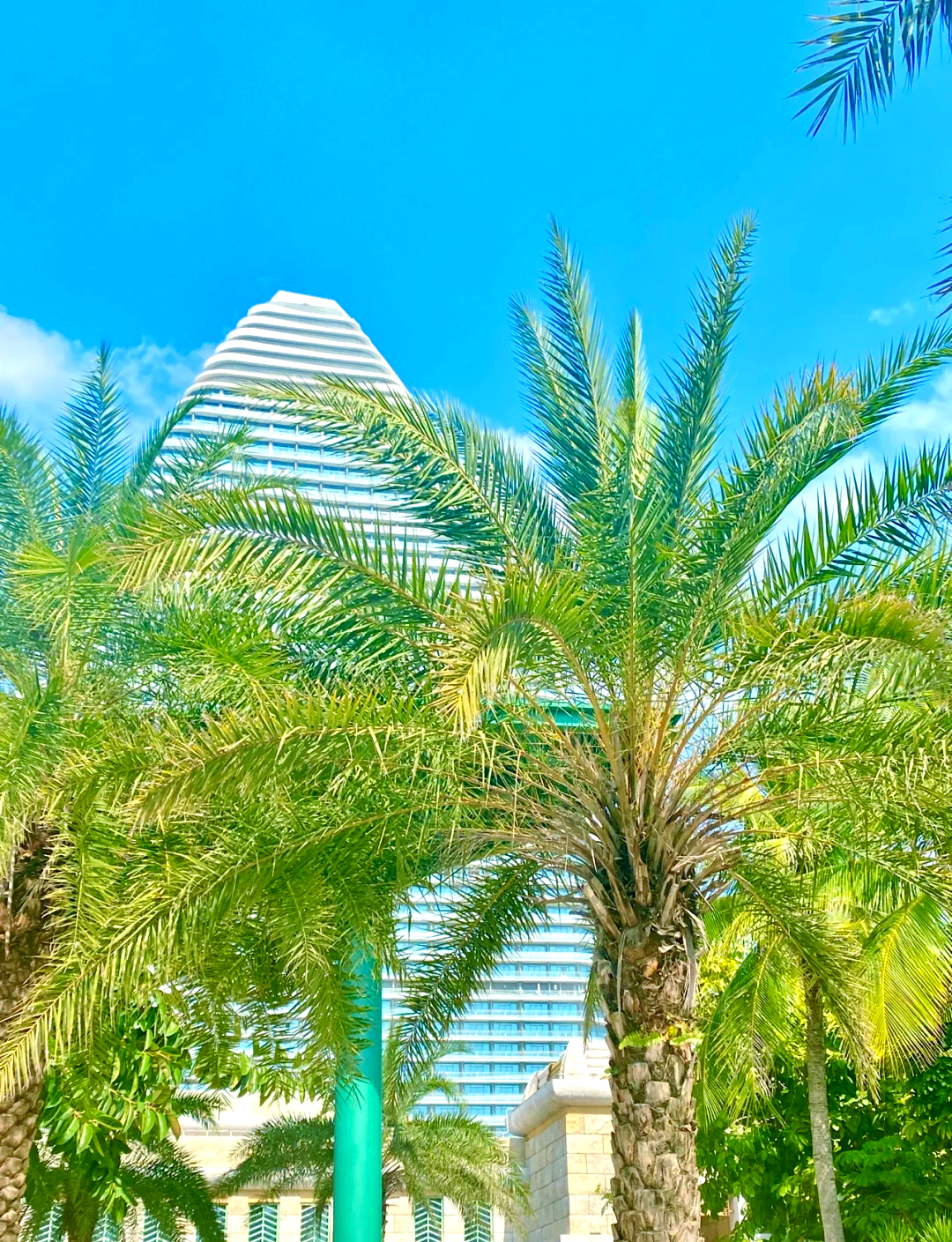 【海南旅游疫情最新规定，海南疫情2021旅游通知】