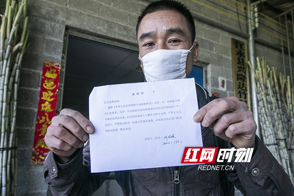 疫情防控期间安全承诺】