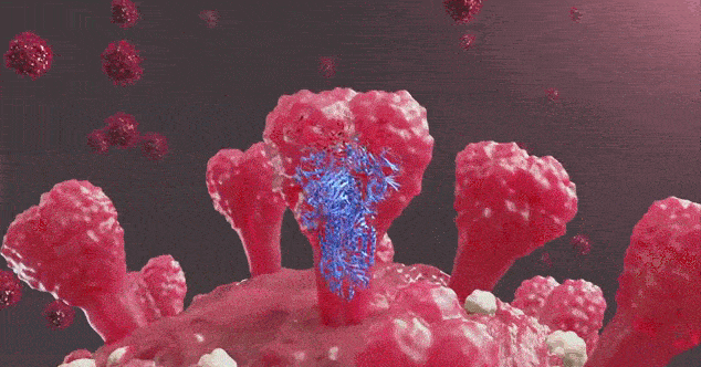 【动态疫情_役情动态数据】