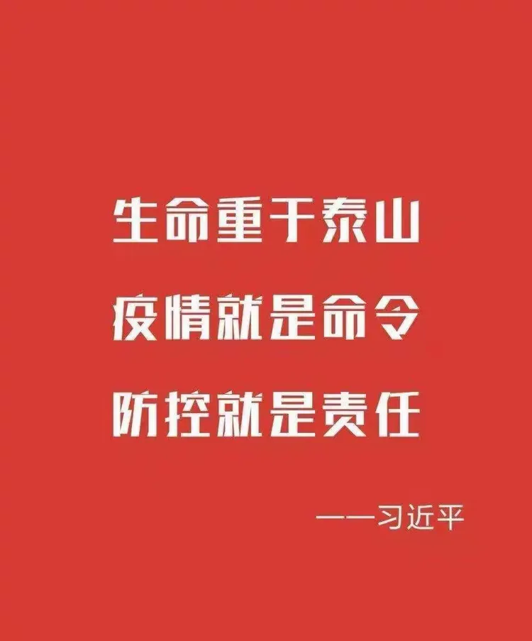 【疫情防控总结_个人参与防疫工作总结】