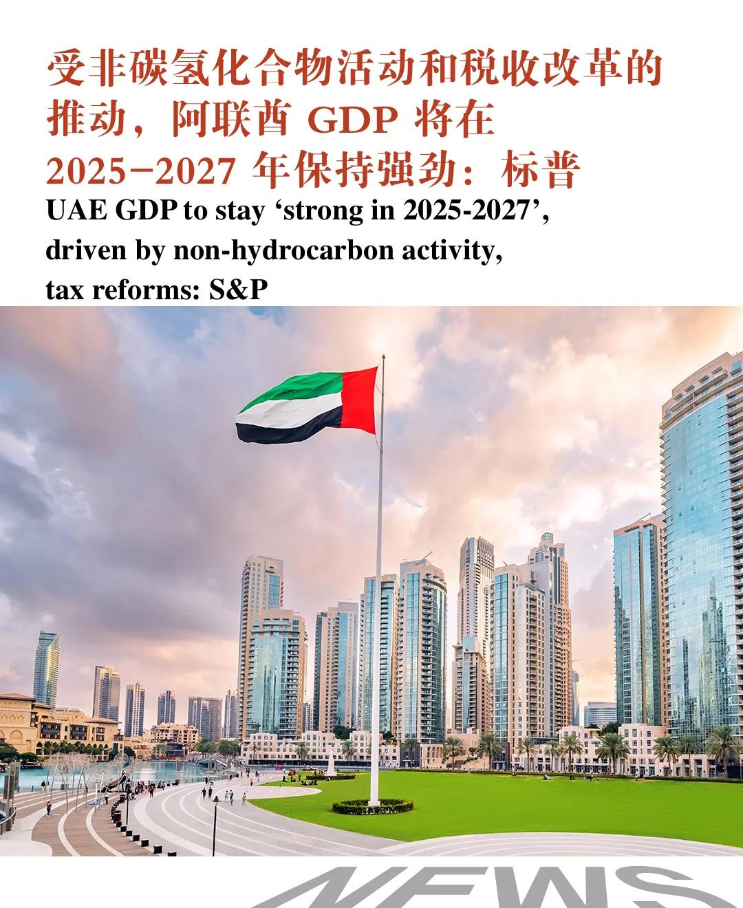 阿拉伯国家新冠疫情数据】