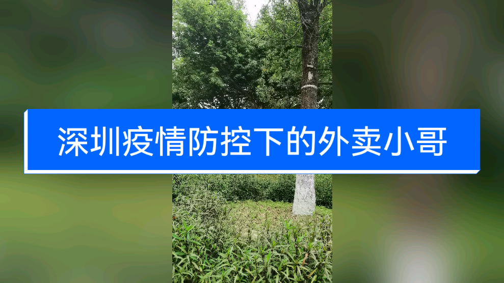 【深圳疫情期间 【深圳疫情期间