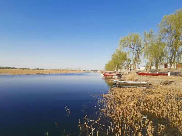 【保定白洋淀疫情情况