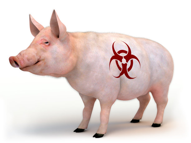 【猪流感疫情_猪流感疫情最新消息2020】