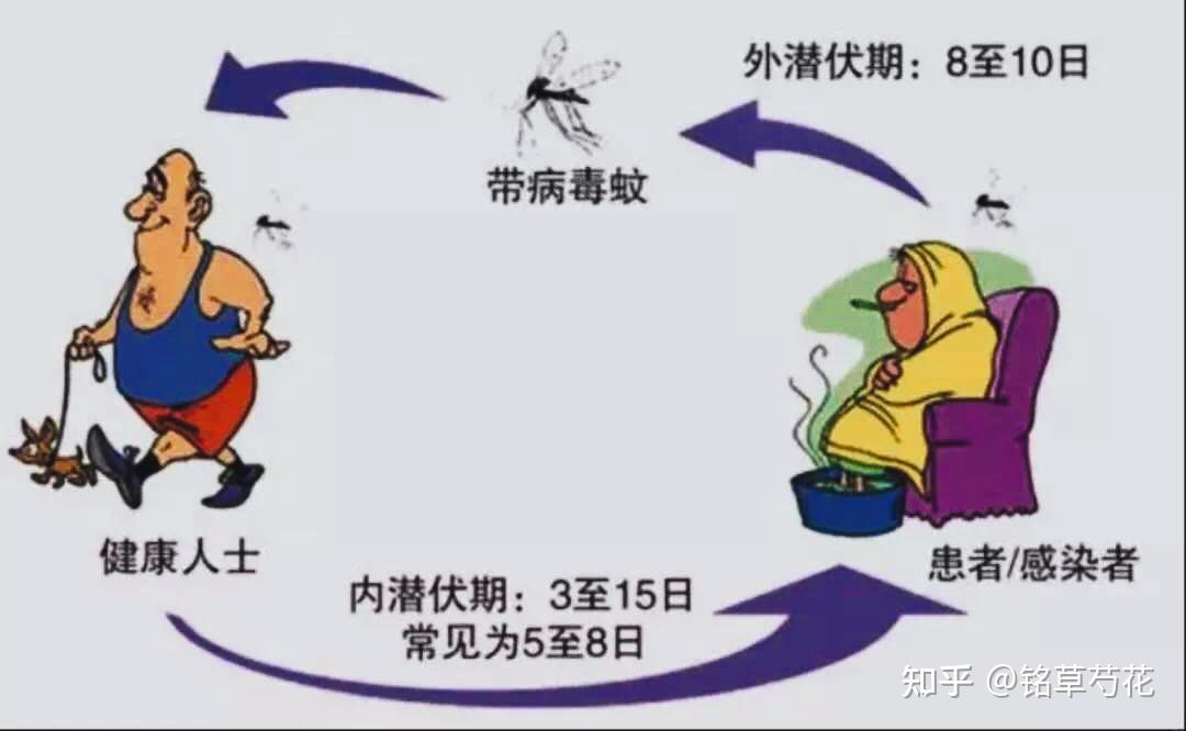 【南美洲疫情,南美洲新型肺炎疫情实时动态】