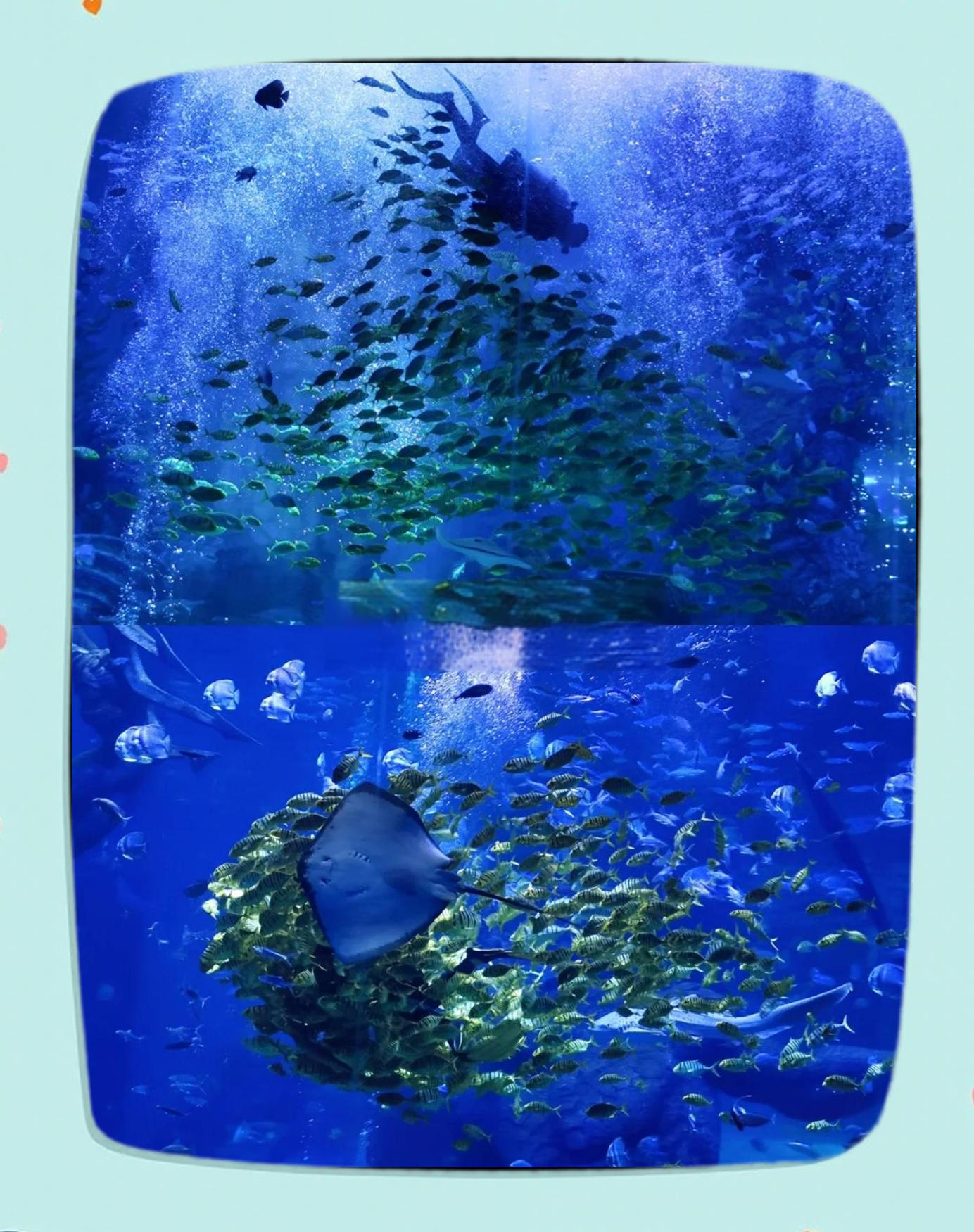 【北京海洋馆疫情