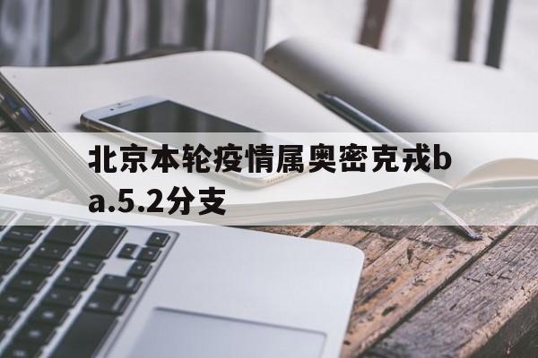 北京本轮疫情属奥密克戎ba.5.2分支的简单介绍